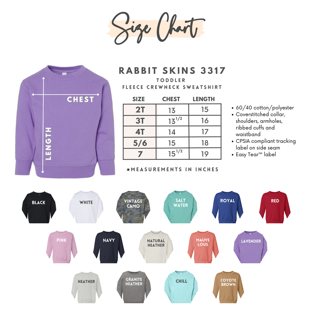 4 Disney Parks Toddler Shirt/Crewneck Embroidery