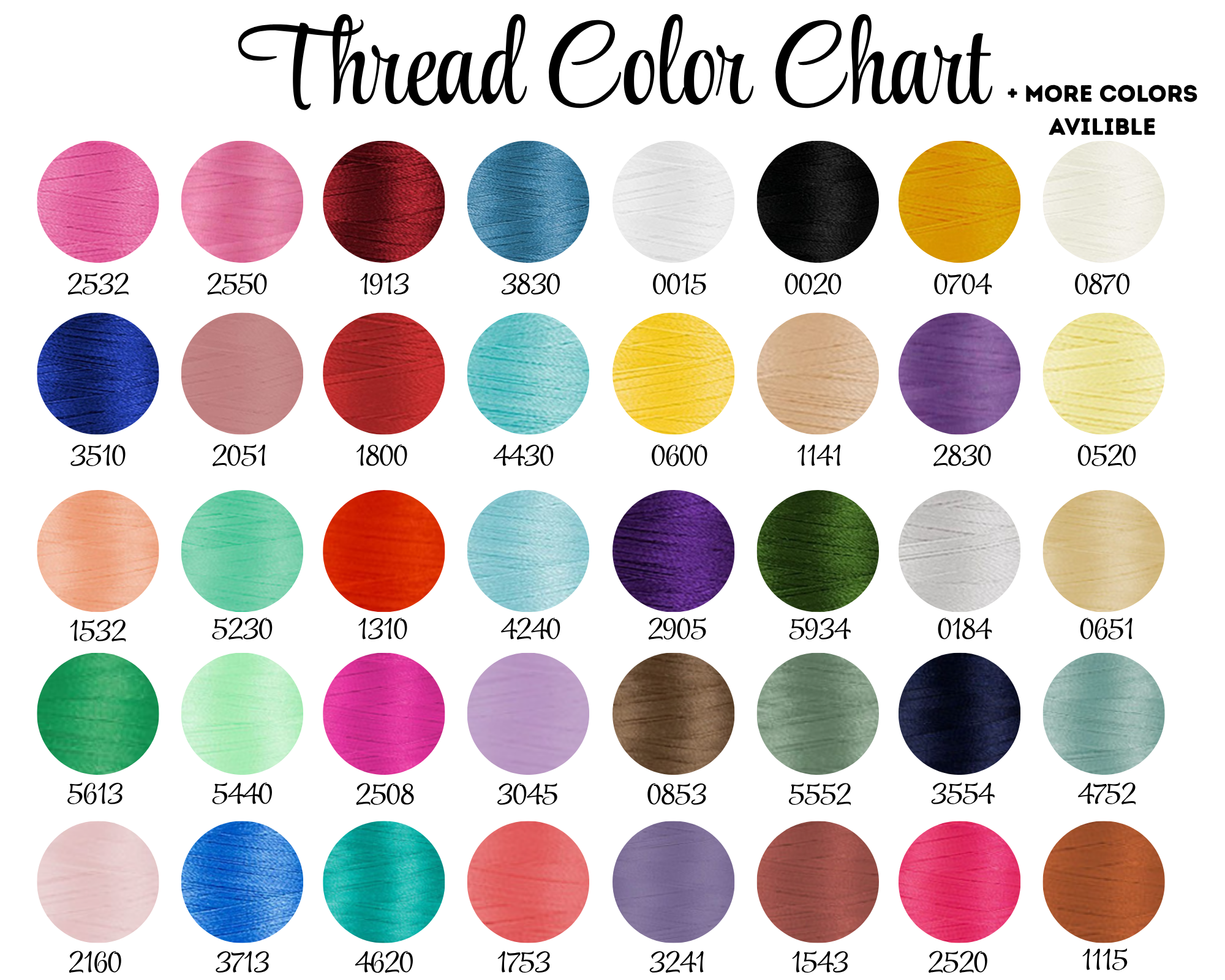 4 Disney Parks Shirt & Crewneck (embroidery)